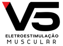 V5 - Logo
